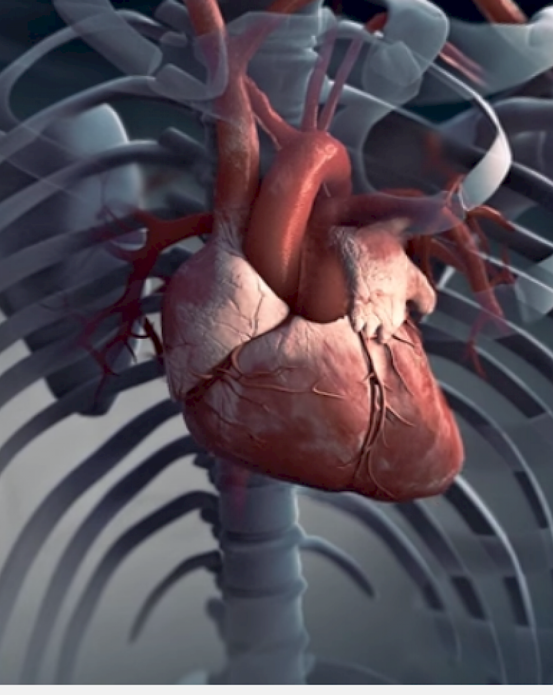 Kadr z filmu 360 Udar serca